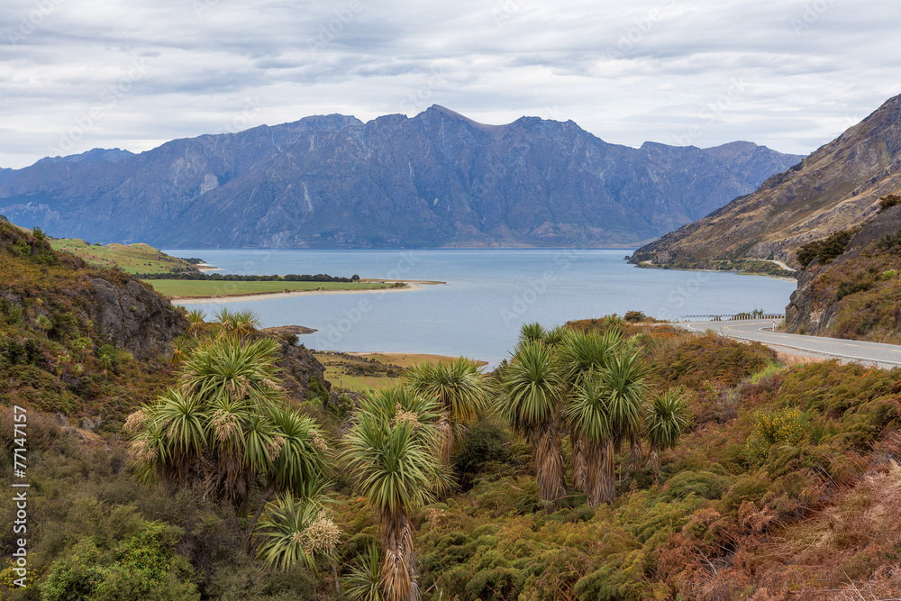 Breathtaking Lake Hawea, South Island, New Zealand