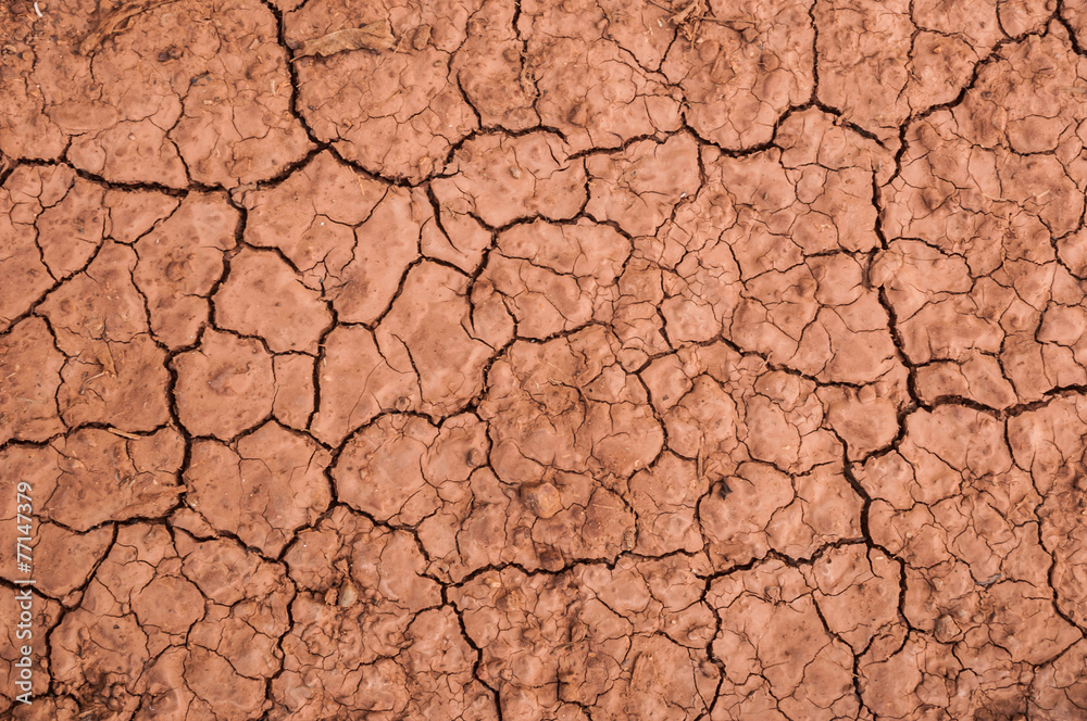 Dry soil Dry soil