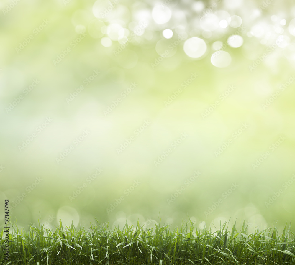 Beautiful Nature Bokeh Beautiful Nature Bokeh