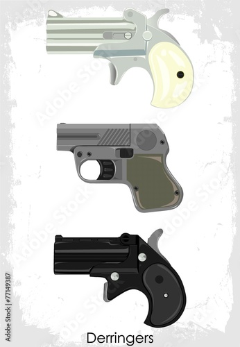 Guns - Derringers