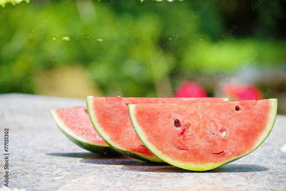 watermelon slices in water color