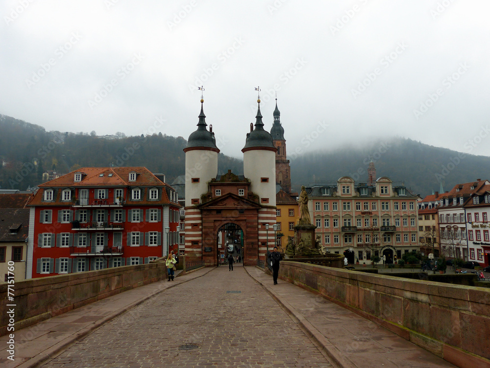 Fototapeta premium Heidelberg: Alte Brücke 2