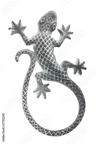 lizard reptile isolate object background
