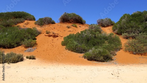 Dune in Francois-Peron National Park, Shark Bay, West Australia