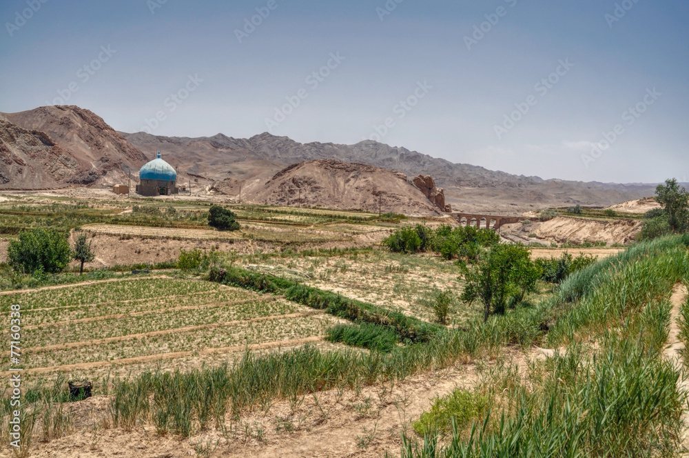 Naklejka premium Crops in Iran