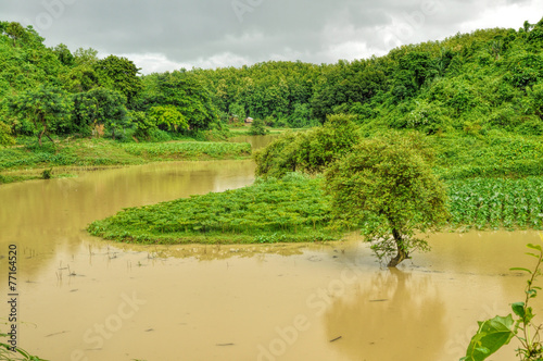 Flood in Bangladesh