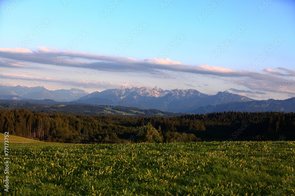 Fototapeta premium Grüne Wiesen und Wälder im Voralpenland