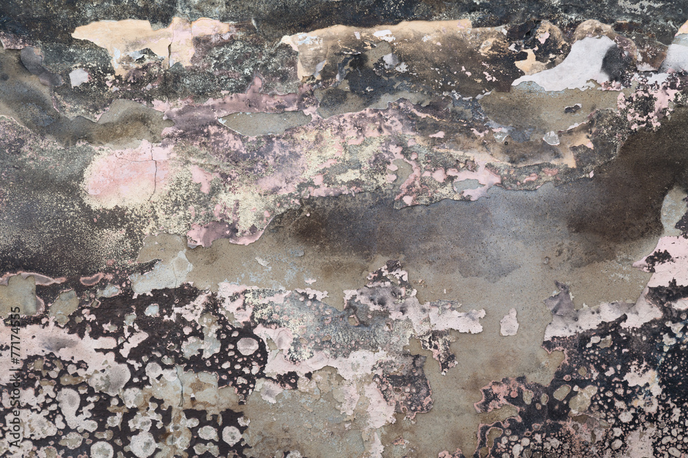 Obraz premium Grunge wall texture