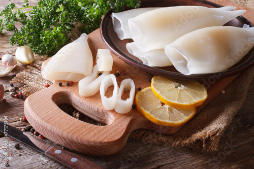 Sliced raw squid with ingredients closeup. Horizontal photo