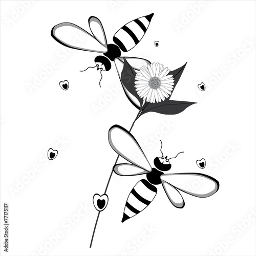 due api volano intorno a un fiore