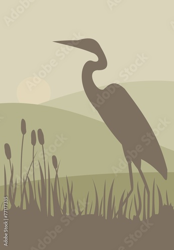 Heron