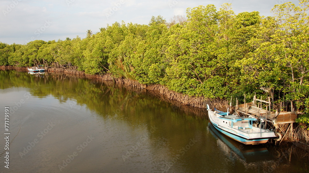 Obraz premium Meeresarm mit Mangroven auf Insel Belitung