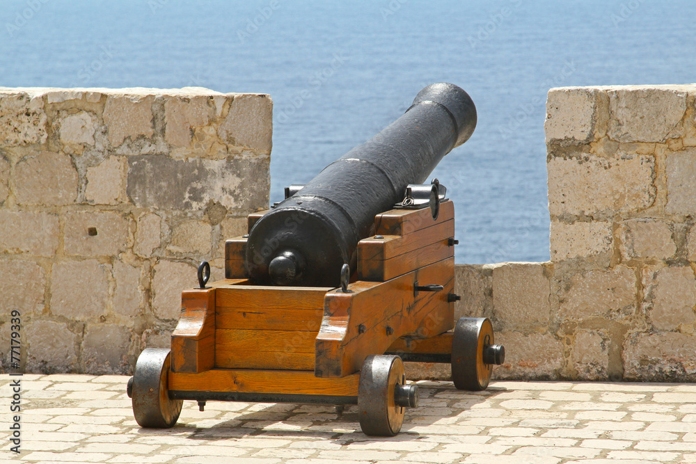 Cannon