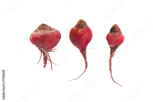 3 red beeds
