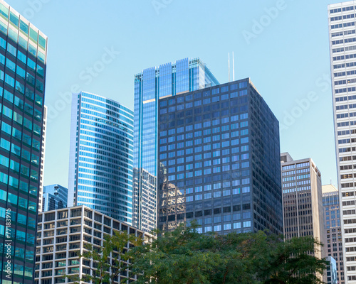 Chicago Skyscrapers