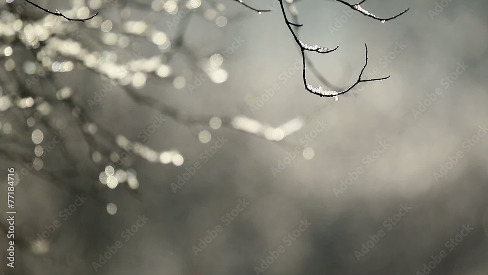 Melting snow. Half speed, taken at 60fps. Melting snow. Half speed, taken at 60fps.