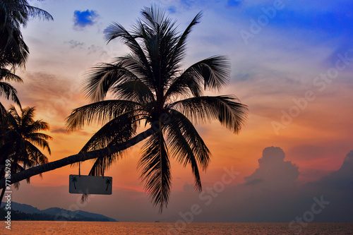 Fototapeta Naklejka Na Ścianę i Meble -  Palm Trees silhouettes on the Colorful Sky background