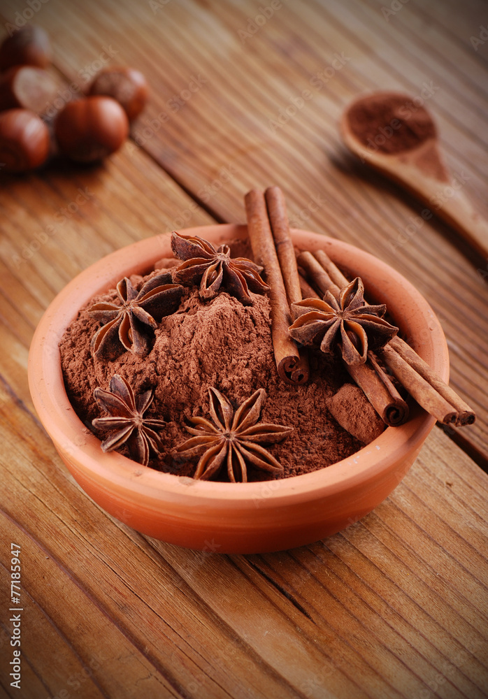 ciotola di terracotta con cacao, cannella e anice stellato