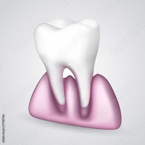 Vector tooth had fallen out of the gums