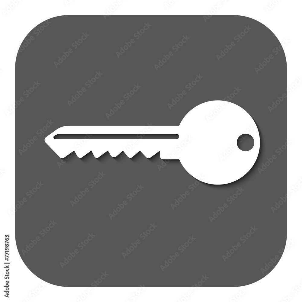 The key icon. Key symbol. Flat. The key icon. Key symbol. Flat.