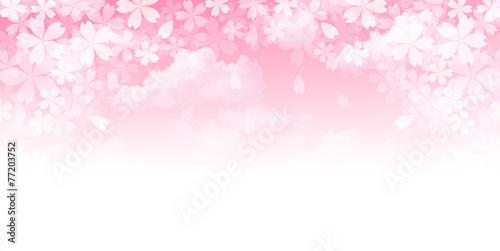 桜　花　背景
