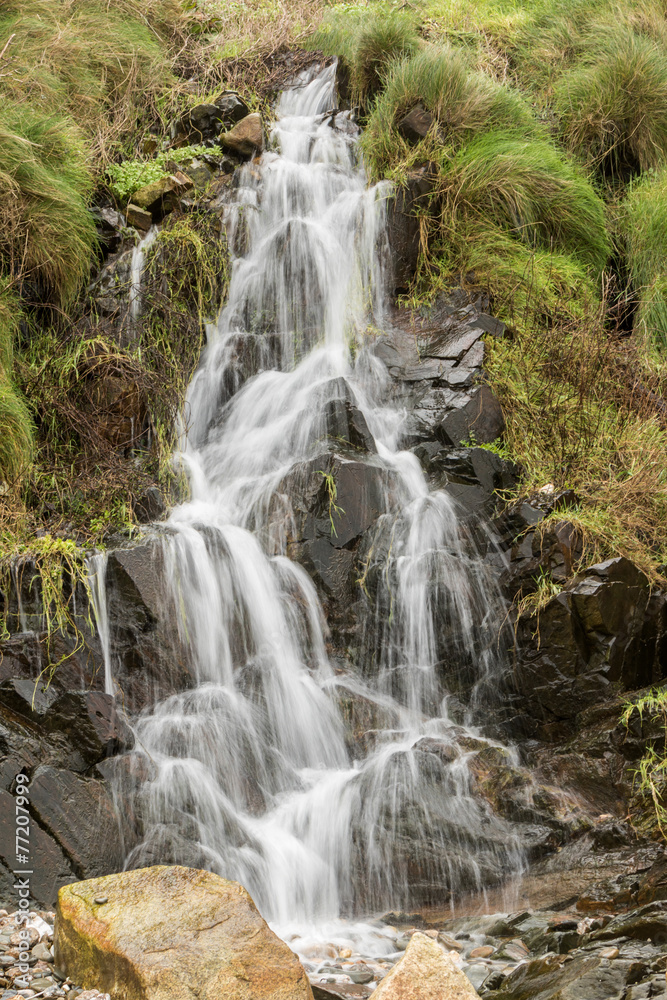 Fototapeta premium Cours d'eau