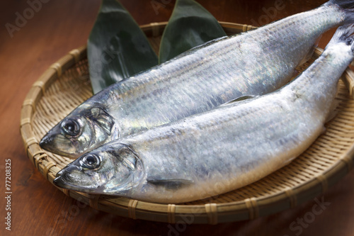 にしん　Herring photo