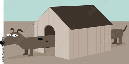 New Kennel