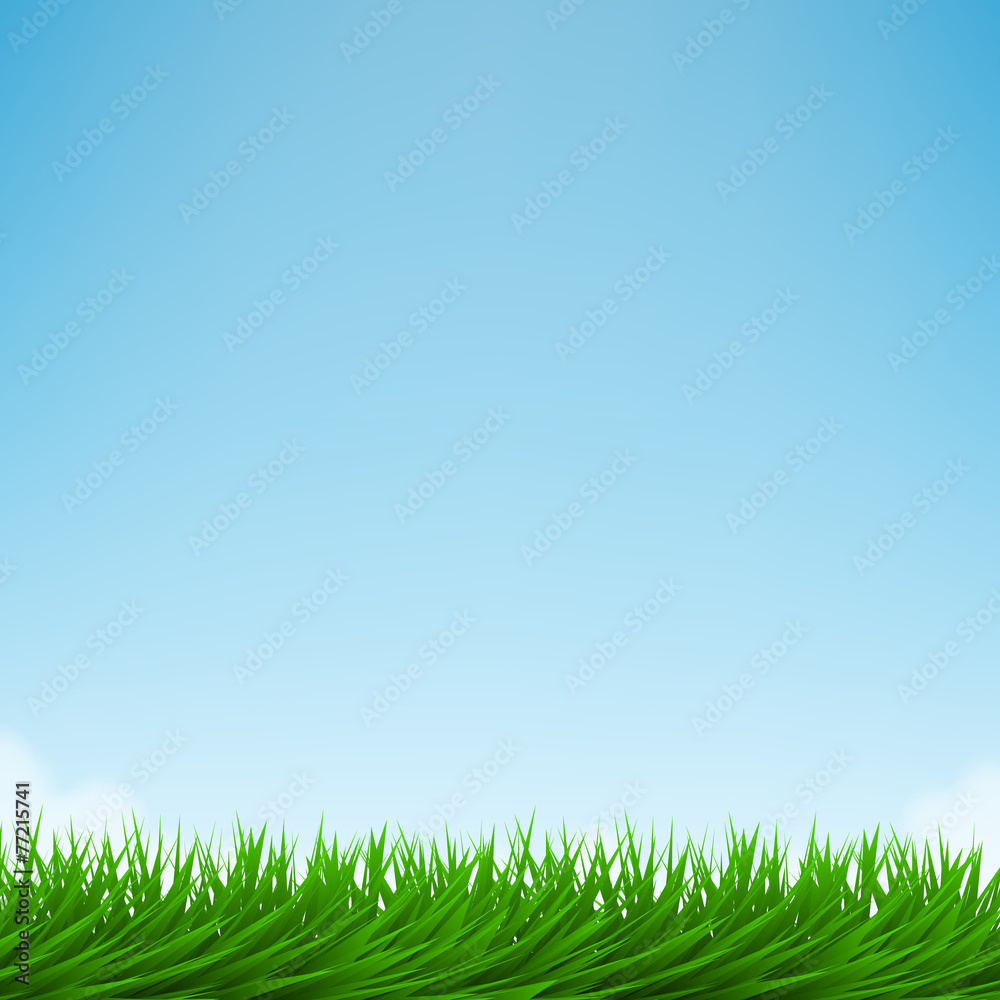 Green grass and bright blue sky Green grass and bright blue sky