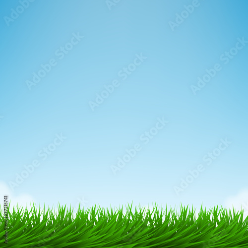 Green grass and bright blue sky