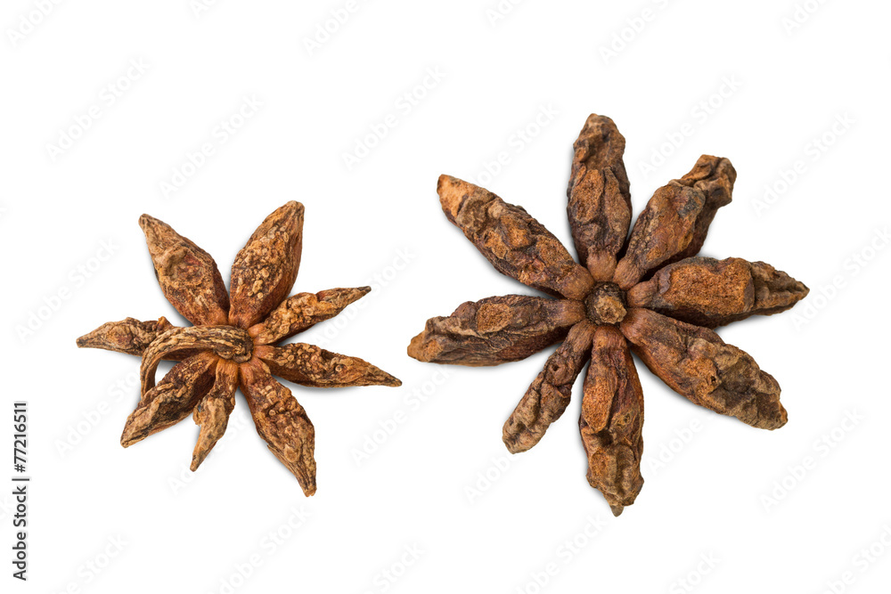 Closeup of reverse sides of two star anises isolated on white Closeup of reverse sides of two star anises isolated on white