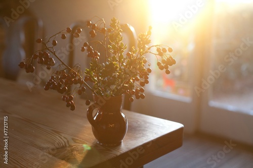light and plants photo