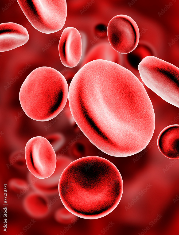 blood cells