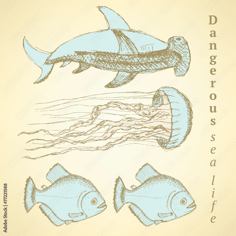 Obraz premium Sketch sea creatures in vintage style