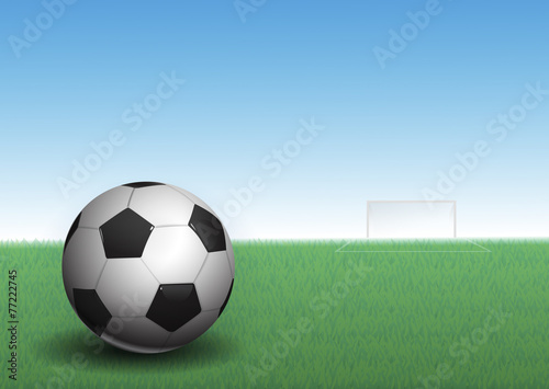 soccer ball on grass, vector illustration © keangs