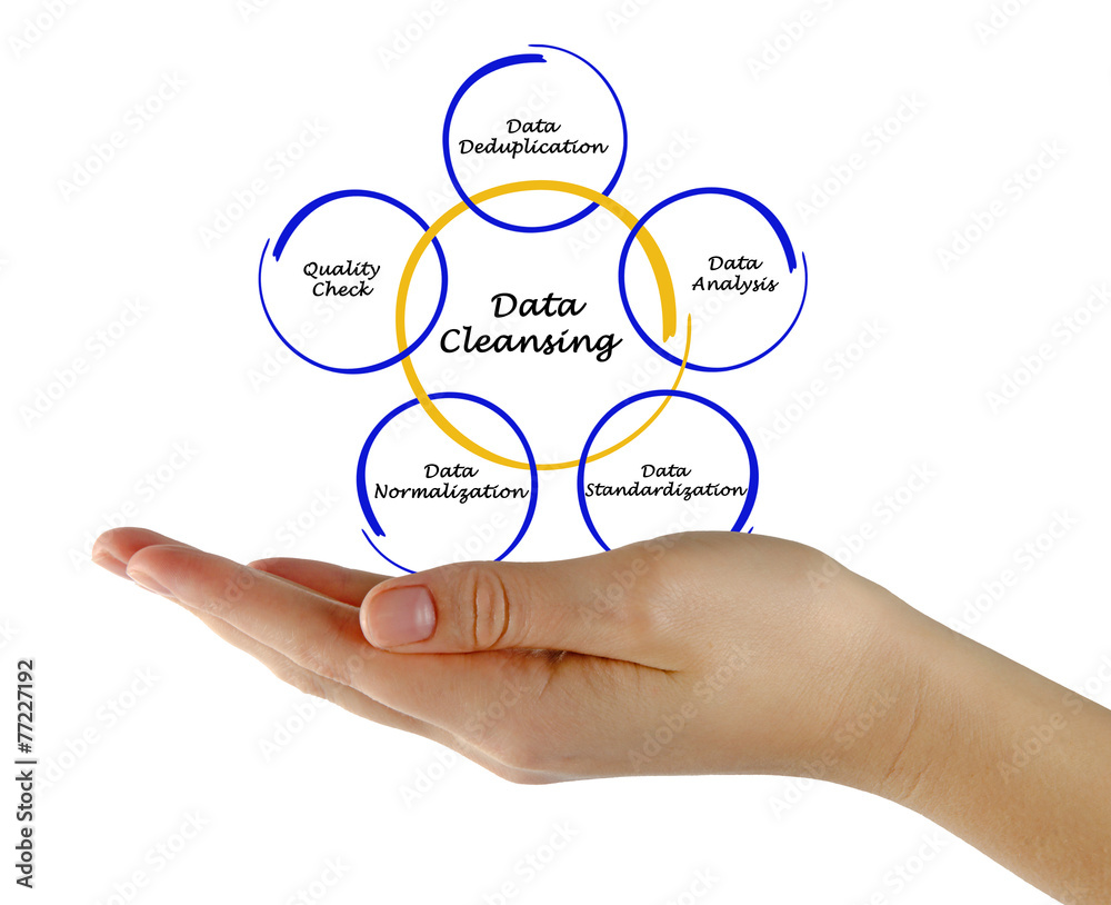 Data Cleansing Data Cleansing