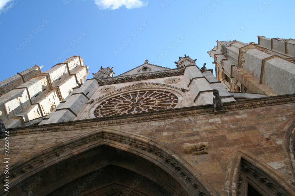 Obraz premium Roseton Catedral León