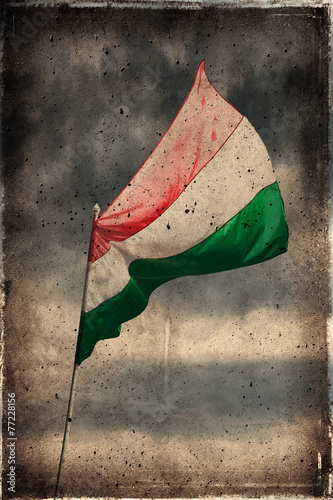 Fototapeta Old Grunge Hungary Flag texture and background.