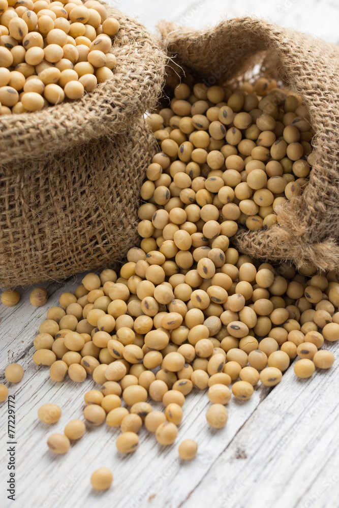 Fototapeta premium Soybeans