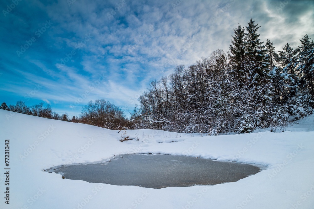 Zugefrorener Tümpel vor verschneitem Winterwald Zugefrorener Tümpel vor verschneitem Winterwald