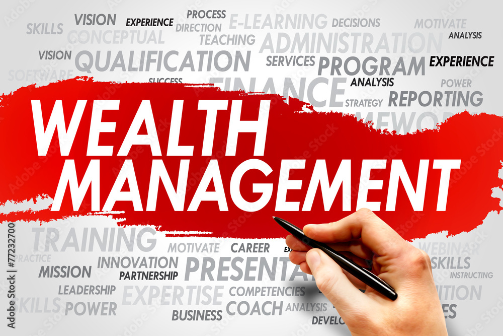 Wealth Management word cloud, business concept Wealth Management word cloud, business concept