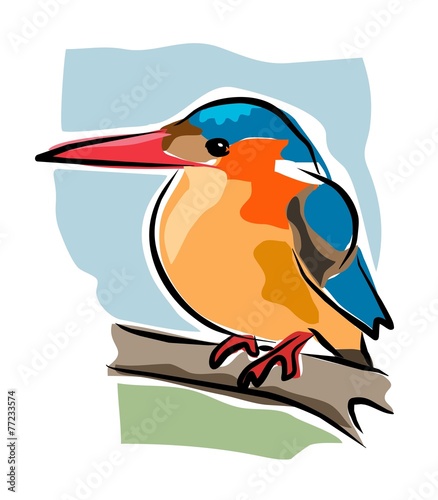 sketchy kingfisher