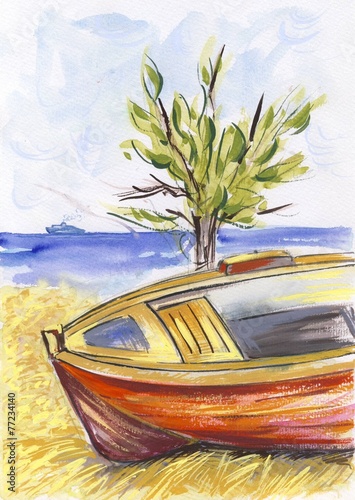 Boat
