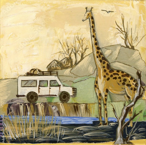 Safari