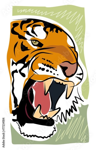 sketchy tiger