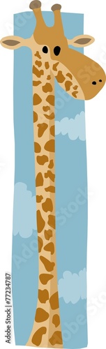 tall giraffe