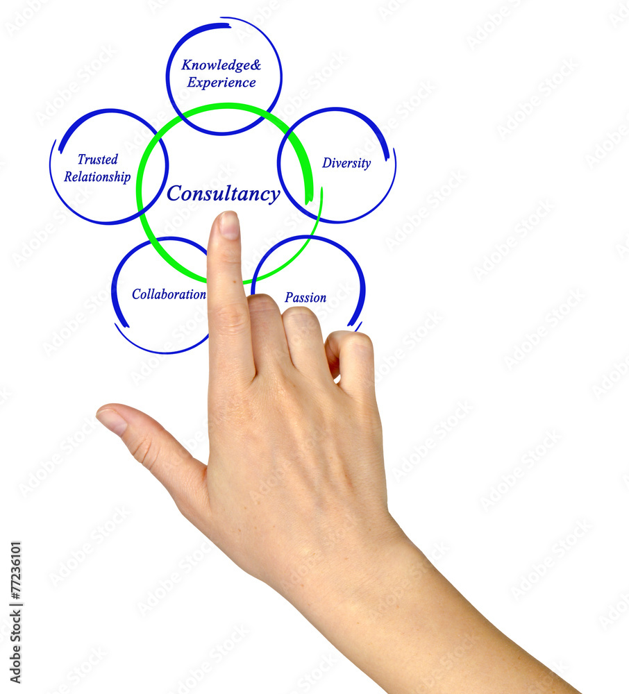 Consultancy Consultancy