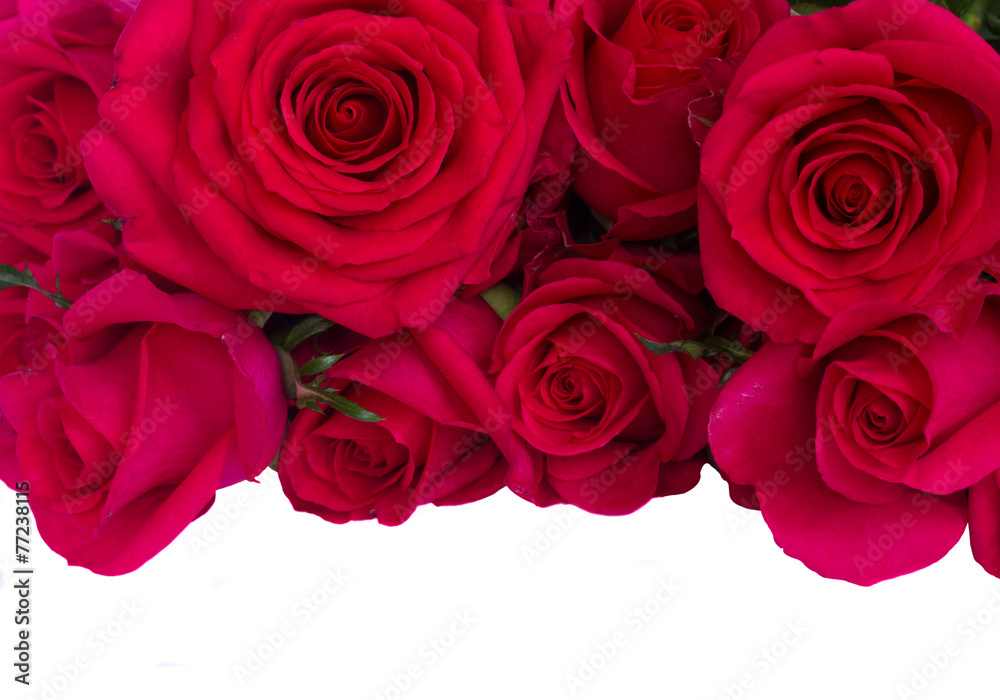 Obraz premium bouquet of dark pink roses close up