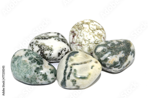 Tree Agate