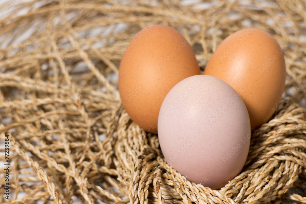 Eggs Eggs